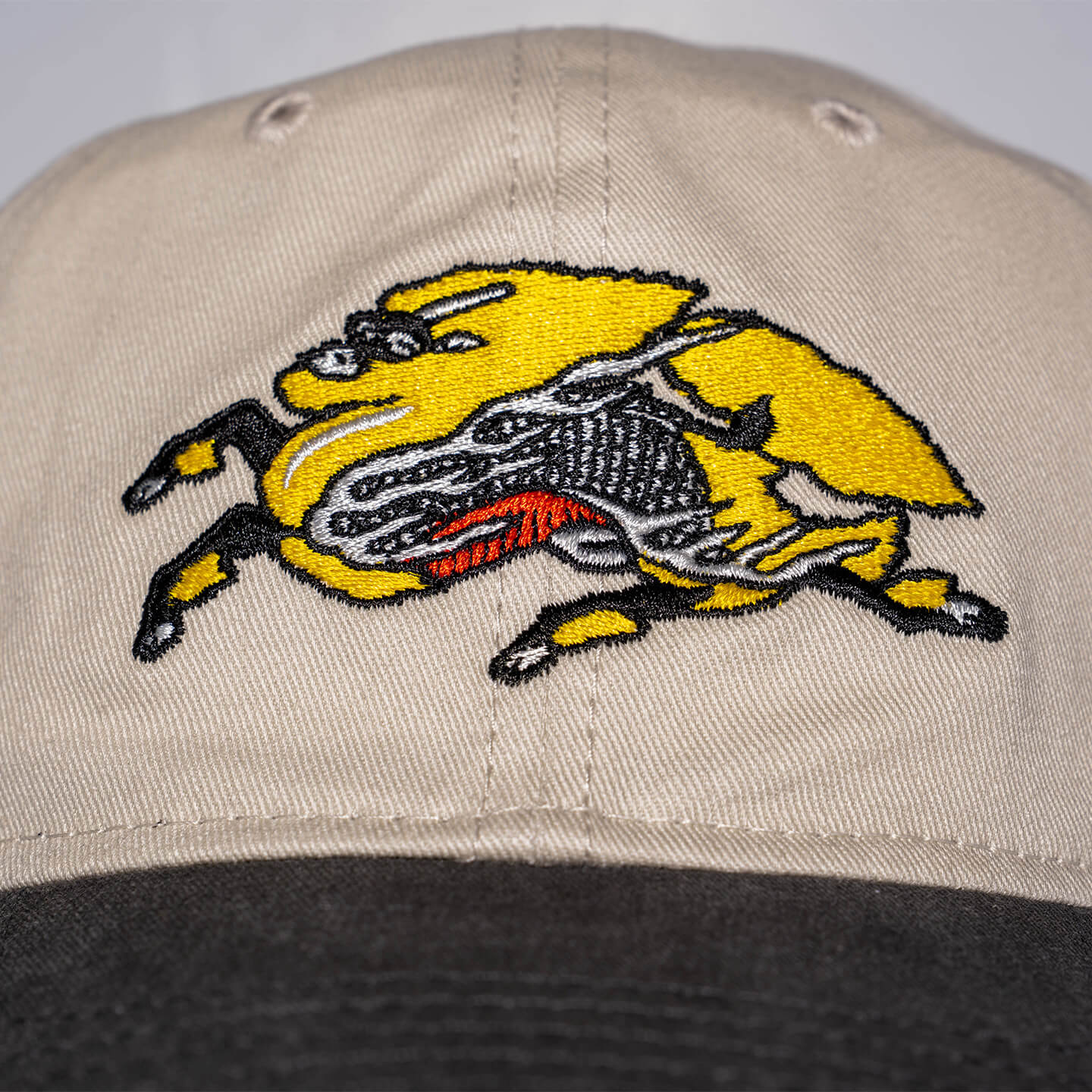 Kirin Ichiban 2025 Merch Hat Detail 1